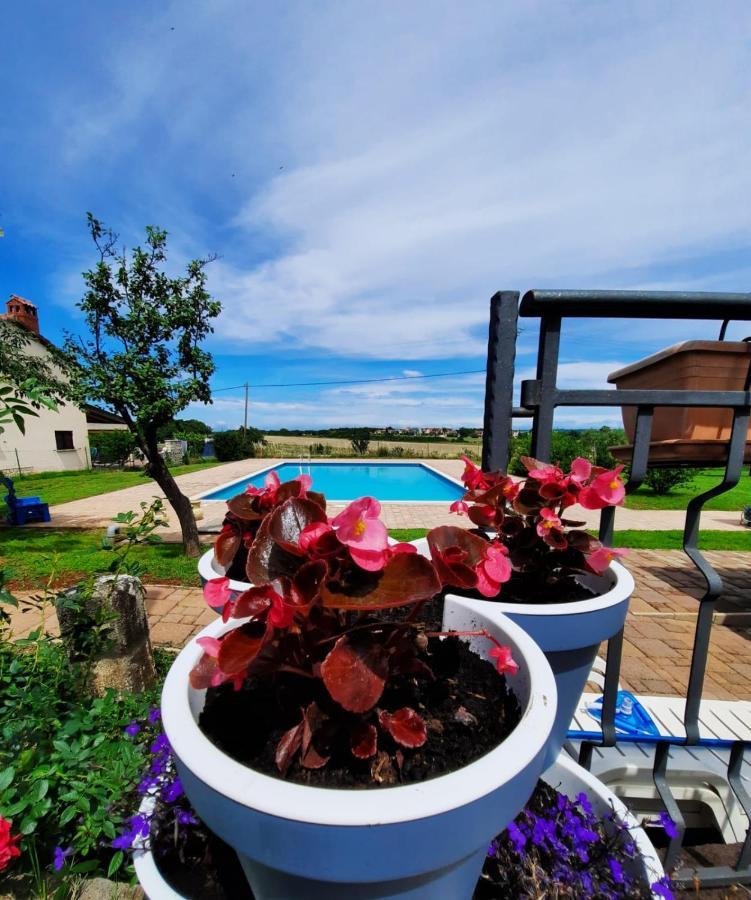 Holiday House Sweet Home Umag Exteriör bild
